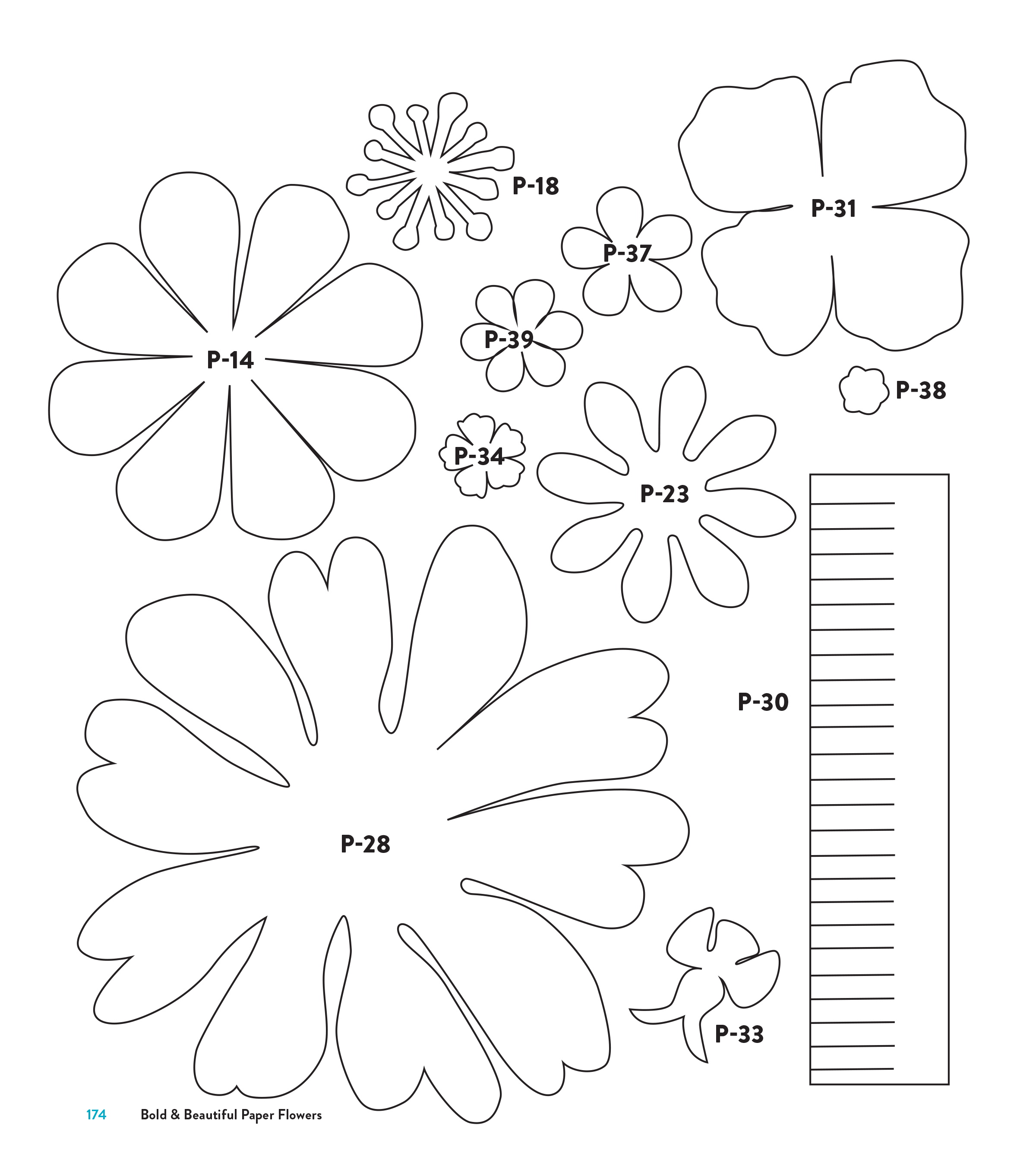 Paper Flower Templates Free Printable Discover The Beauty Of 